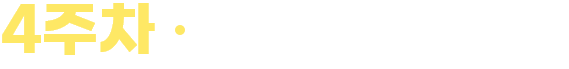 4주차 11.29~12.05