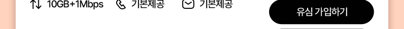 유심(10GB+/통화기본)