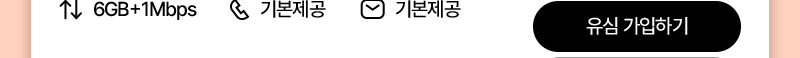 유심(6GB+/통화기본)