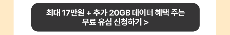 유심 구매하기