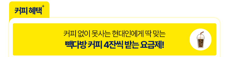 빽다방 요금제