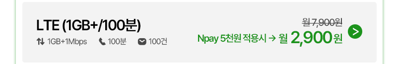 LTE (1GB+/100분)