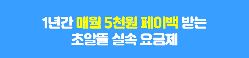 실속요금제
