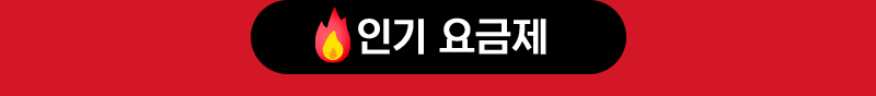 인기요금제