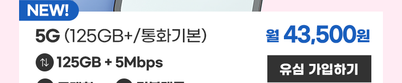5G 유심 (125GB+/통화기본)