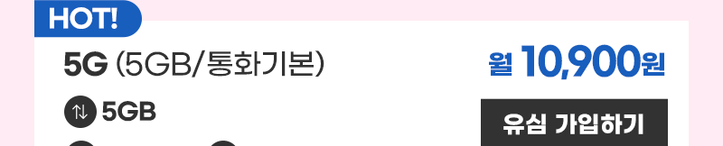 5G 유심 (5GB/통화기본) 가입하기
