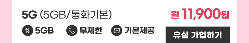 5G 유심 (5GB/통화기본)