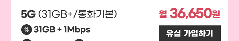 5G 유심 (31GB+/통화기본) 가입하기