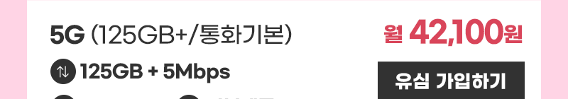 5G 유심 (125GB+/통화기본) 가입하기
