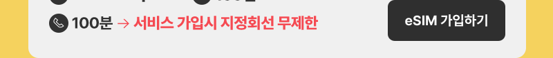 eSIM 1GB+/100분