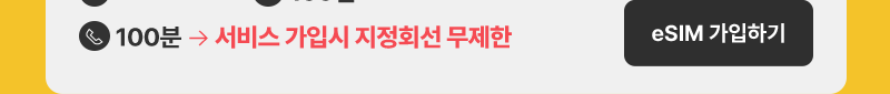 eSIM 10GB/100분
