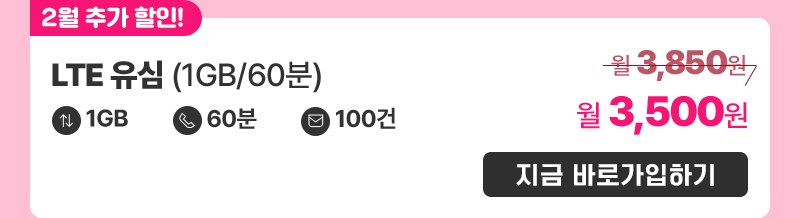 LTE 유심(1GB/60분) 가입하기