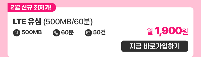 LTE 유심(500MB/60분) 가입하기