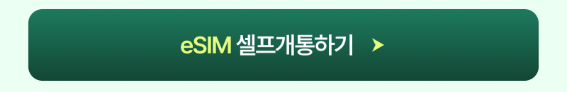 eSIM 셀프개통하기