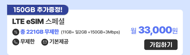 LTE eSIM 스페셜 월33,000원
