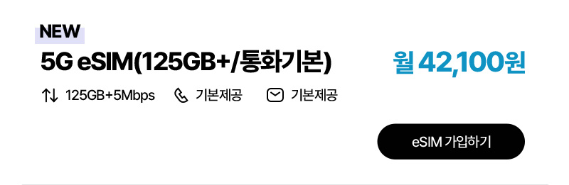 5G eSIM(125GB+/통화기본)