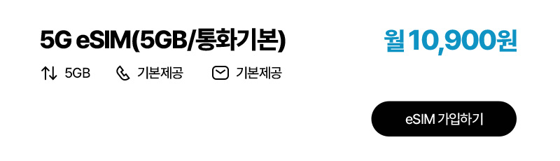 5G eSIM(5GB/통화기본)