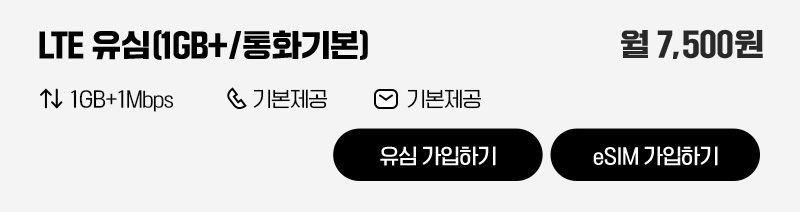 LTE 유심(1GB+/통화기본)