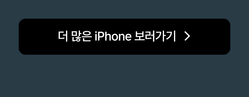 더 많은 iPhone 보러가기