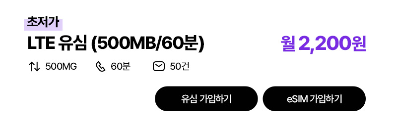 LTE 유심(500MB/60분)