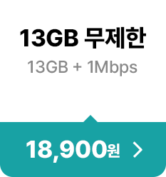 13GB 무제한