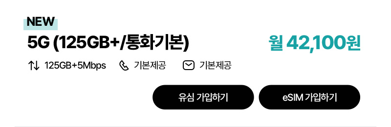 5G(125GB+/통화기본)