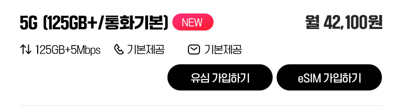 5G 유심(125GB+/통화기본)