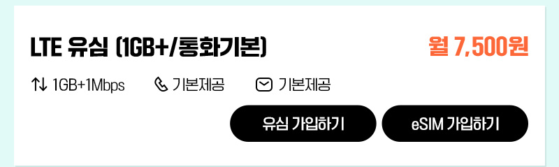 LTE 유심(1GB+/통화기본)