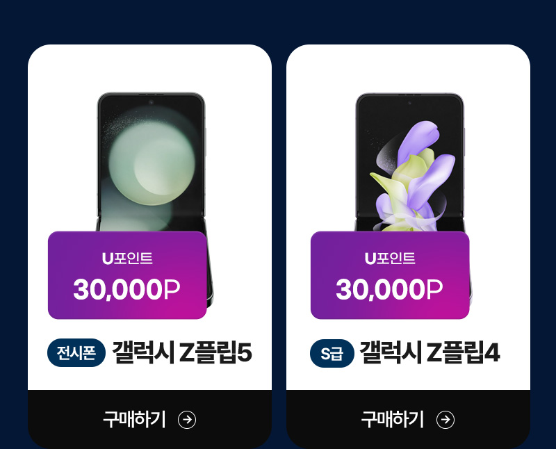 갤럭시 Z플립5 , 갤럭시 Z플립4